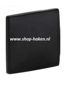 Paskamerhaak in gietijzer
